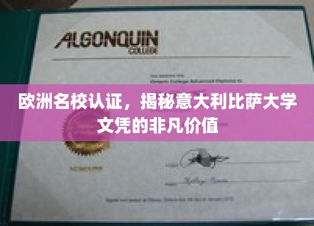 欧洲名校认证，揭秘意大利比萨大学文凭的非凡价值