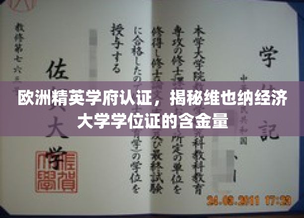 维也纳经济大学学位证，欧洲精英学府认证下的价值解析