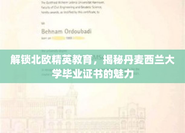 探索丹麦西兰大学证书，北欧精英教育的秘密宝藏