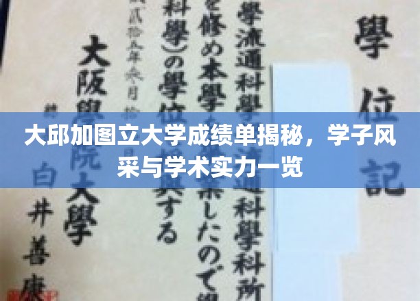 大邱加图立大学学霸档案，一窥学子卓越风采与学术实力