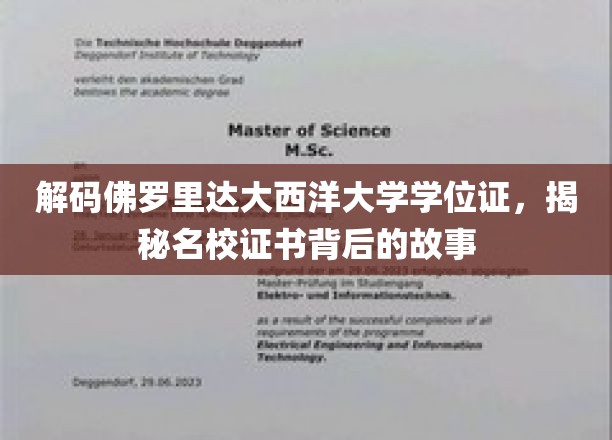 佛罗里达大西洋大学学位证之谜，探寻名校证书背后的传奇故事