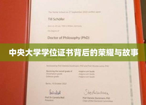 中央大学学位证书背后的荣耀与故事