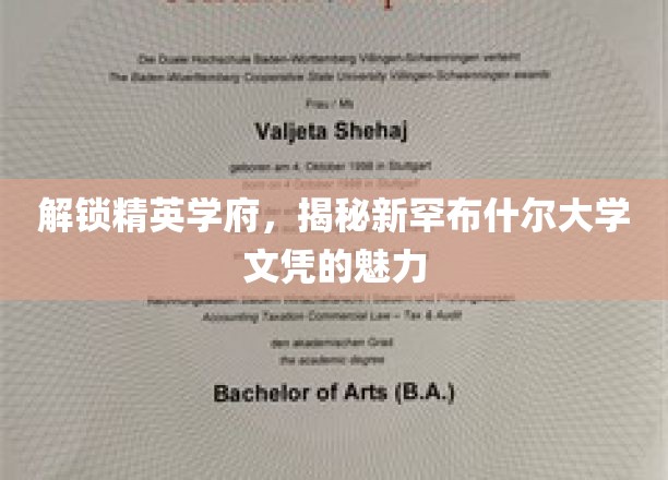 探索新罕布什尔大学，揭秘顶尖学府的文凭奥秘