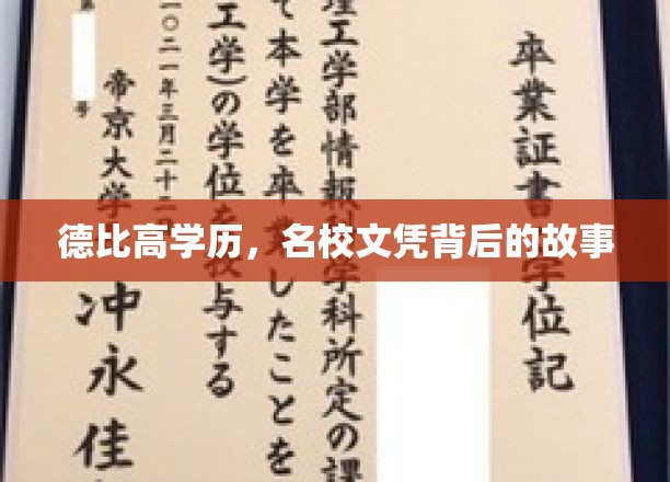 解码高学历精英，名校文凭背后的非凡历程