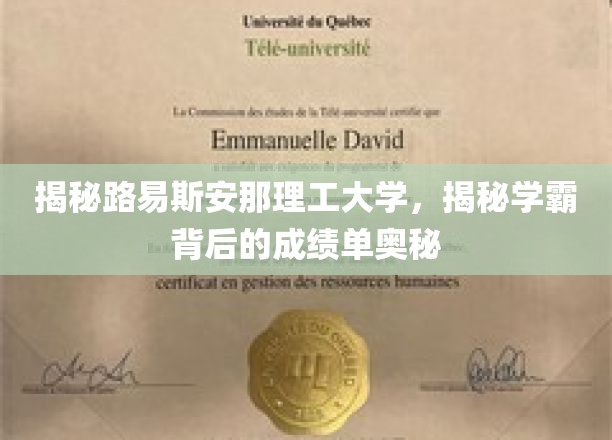 揭秘学霸之路，路易斯安那理工大学学霸的秘密武器