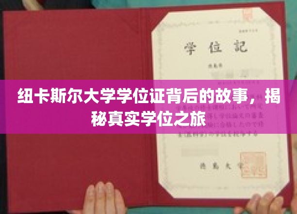 纽卡斯尔大学学位证背后的故事，揭秘真实学位之旅