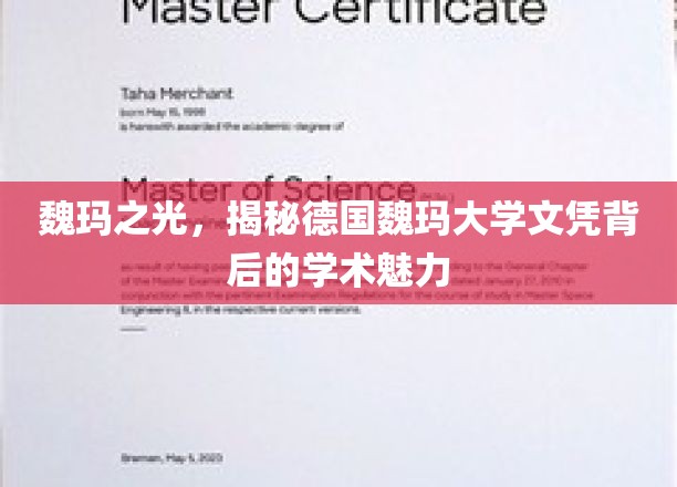 魏玛之光，揭秘德国魏玛大学文凭背后的学术魅力