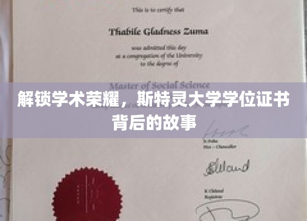 揭秘斯特灵荣耀，一纸学位背后的传奇之路