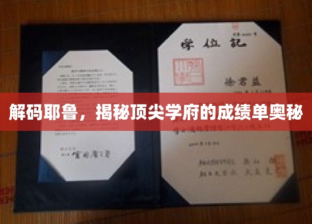 解码耶鲁，揭秘顶尖学府的成绩单奥秘