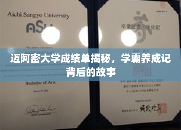 迈阿密学霸养成记，揭秘大学成绩单背后的成长轨迹