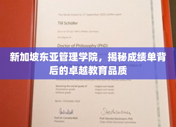 解码新加坡东亚管理学院，卓越教育品质的秘密武器