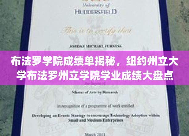 布法罗学院成绩单揭秘，纽约州立大学布法罗州立学院学业成绩大盘点
