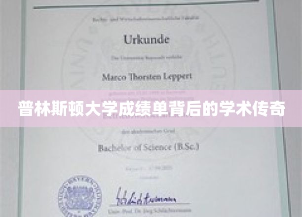 普林斯顿大学成绩单，揭开学术奇才背后的神秘面纱