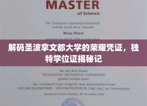 探索圣波拿文都大学神秘学位证的非凡历程