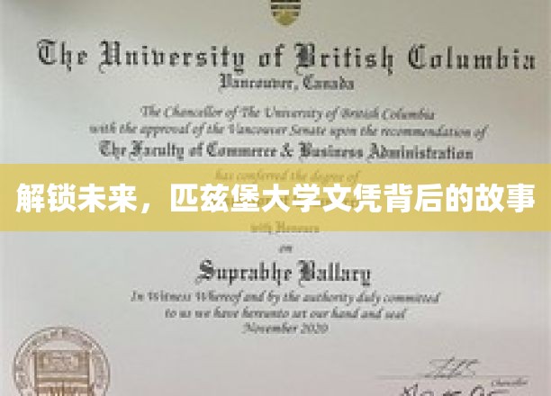 探寻匹兹堡大学文凭的神秘魅力与未来启示