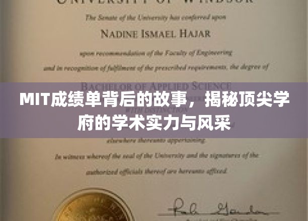 探寻MIT卓越背后的学术魅力与不凡风采