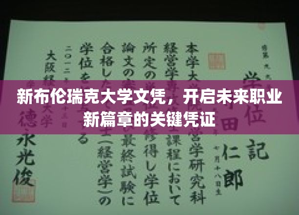 掌握未来职场新篇章，新布伦瑞克大学文凭的非凡力量