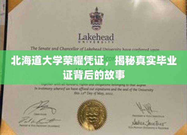 北海道大学荣耀凭证，揭秘真实毕业证背后的故事