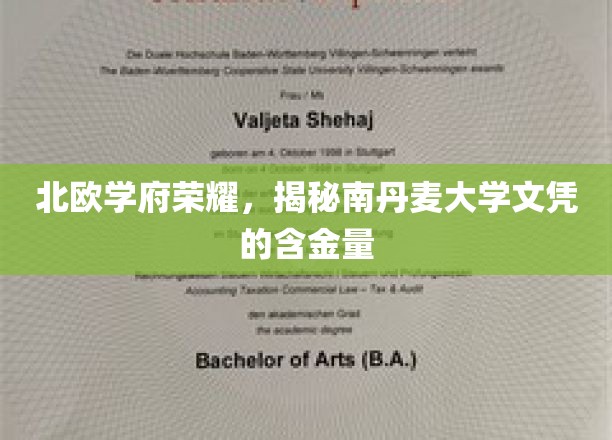 北欧学府荣耀，揭秘南丹麦大学文凭的含金量