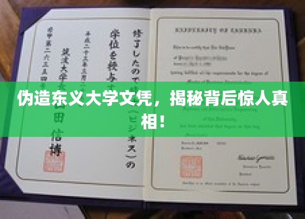伪造东义大学文凭，揭秘背后惊人真相！