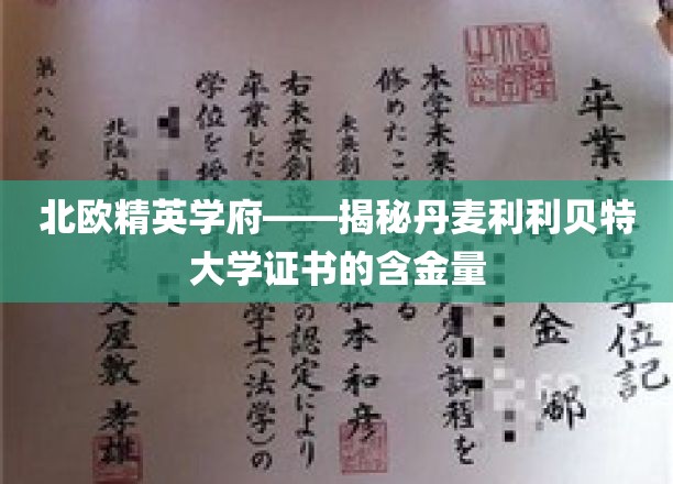 北欧精英学府——揭秘丹麦利利贝特大学证书的含金量