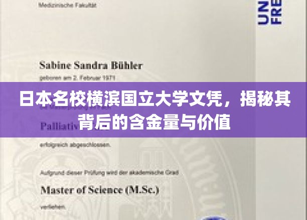 揭秘横滨国立大学文凭的非凡含金与无限价值