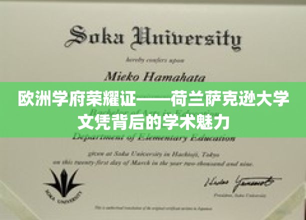 解码荷兰萨克逊，探索欧洲顶尖学府的学术风采