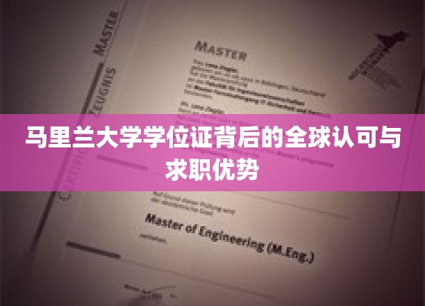 马里兰大学学位证背后的全球认可与求职优势