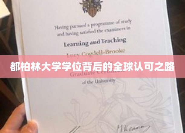 跨越国界，都柏林大学学位的国际通行证之路