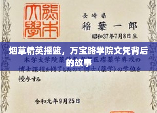 烟海精英养成记，探寻万宝路学院文凭的神秘面纱