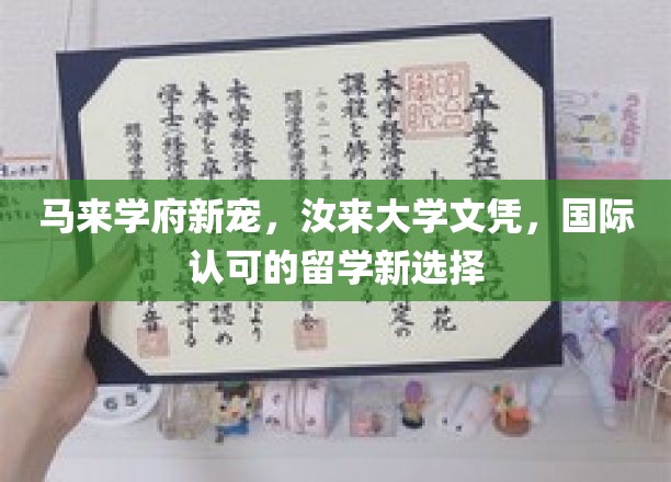 跨洋深造新风向，马来汝来大学，国际认证学历引领留学潮流