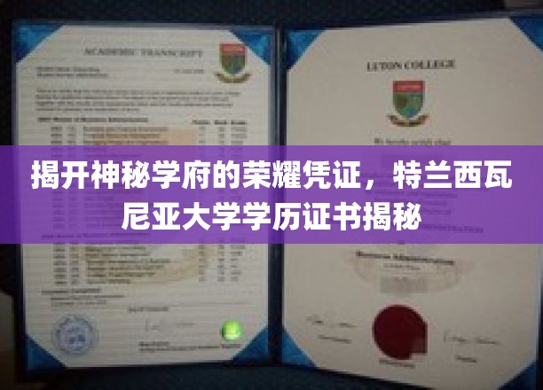 探寻特兰西瓦尼亚大学神秘面纱，揭秘百年学府的荣誉证书之谜