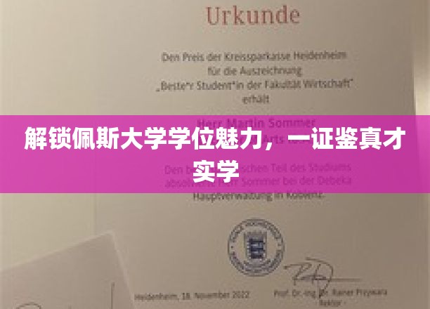 佩斯大学学位证书，见证卓越才智