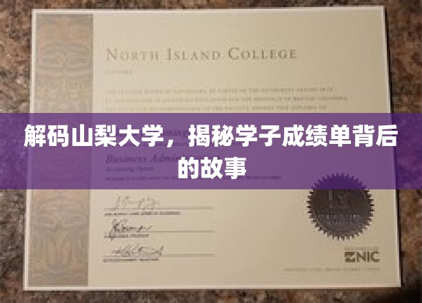解码山梨大学，揭秘学子成绩单背后的故事