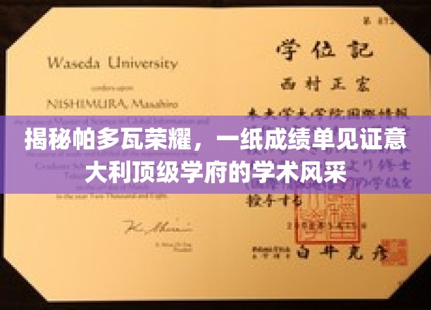 揭秘帕多瓦荣耀，一纸成绩单见证意大利顶级学府的学术风采