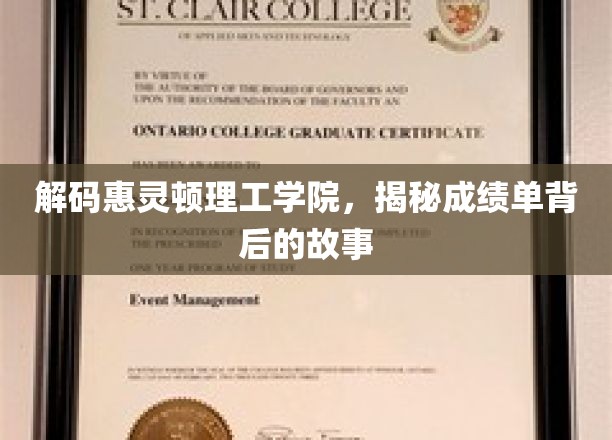 解码惠灵顿理工学院，揭秘成绩单背后的故事