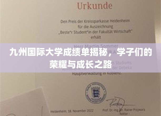 九州国际大学成绩单揭秘，学子们的荣耀与成长之路