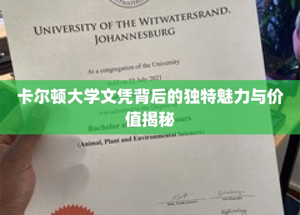 卡尔顿大学文凭背后的独特魅力与价值揭秘