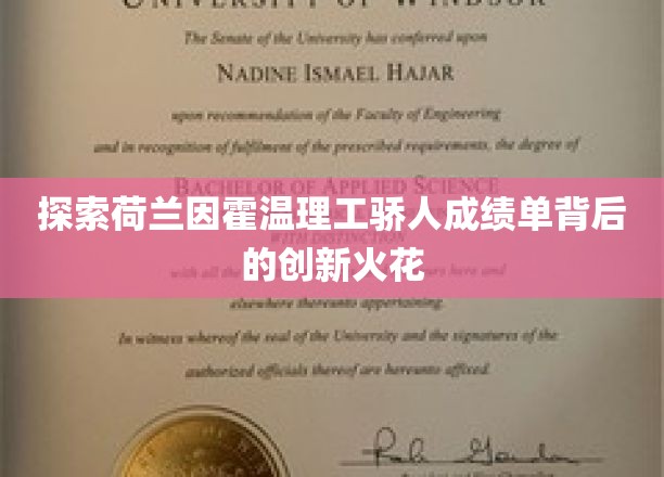 揭秘因霍温理工独领风骚的创新密码