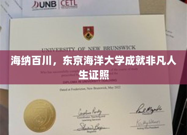 海纳百川，东京海洋大学成就非凡人生证照