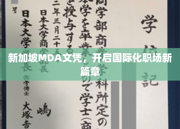MDA新加坡文凭，助你跃升国际职场精英