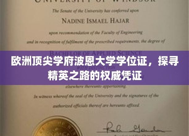 波恩大学荣耀学位证，解锁欧洲精英教育之门