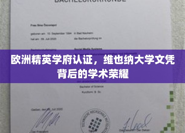维也纳大学荣耀认证，欧洲精英学府的学术金盾
