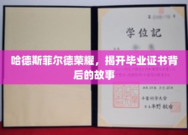 哈德斯菲尔德荣耀，揭开毕业证书背后的故事
