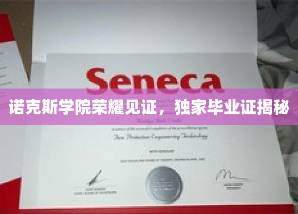 诺克斯学院毕业盛典，探寻荣耀背后的独家证书之谜