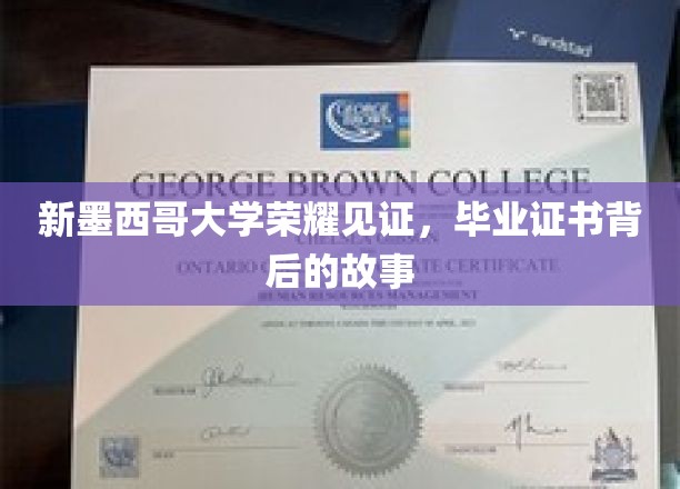 新墨西哥大学荣耀时刻，探寻毕业证书背后的非凡传奇