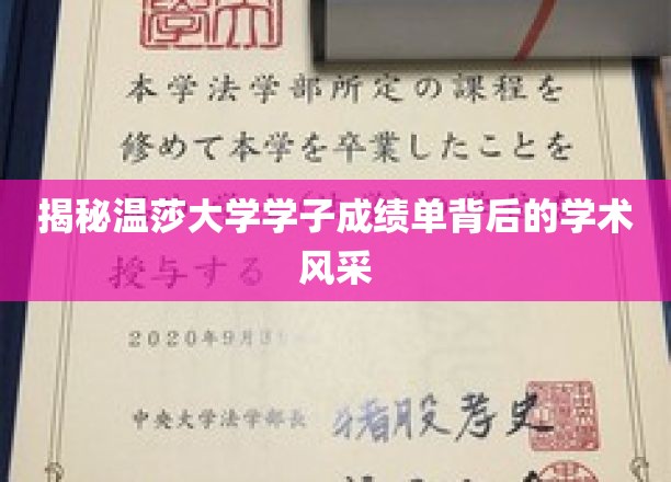 温莎大学学霸档案，揭开成绩单背后的学术魅力