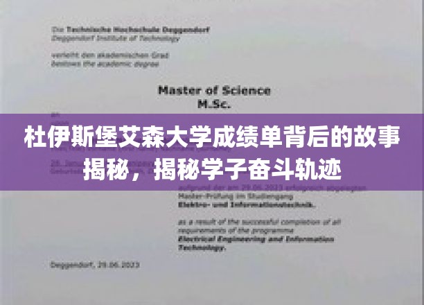 解码杜伊斯堡艾森大学学子奋斗轨迹，成绩单背后的励志篇章