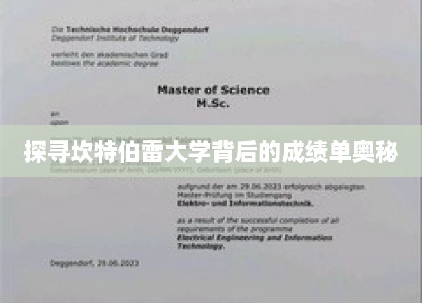 揭开坎特伯雷大学卓越成绩的神秘面纱