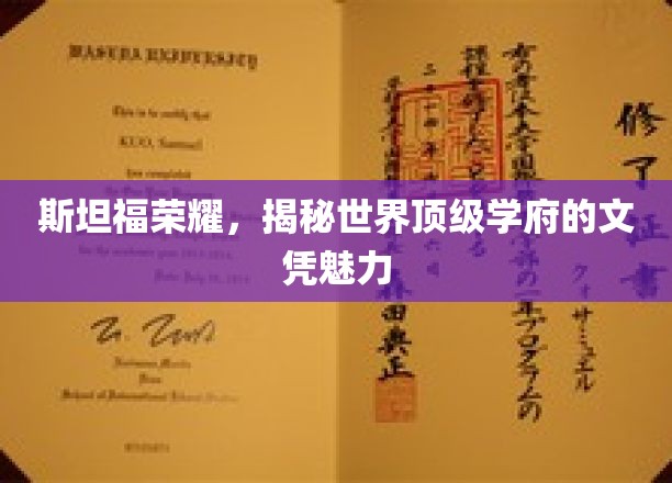 斯坦福传奇，解码全球顶尖大学的文凭魔力